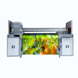 Rayt UV Hybrid Printer supplier in bihar
